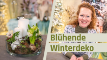 Blühende Winterdekoration