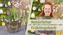 Kategorie Natürliche Frühlingsdeko mit Frühblühern