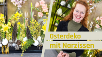 Kategorie Osterdeko mit Narzissen