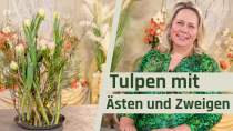 Natürliche Tulpendekoration