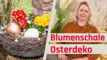 Kategorie Kranz mit Blumenschale