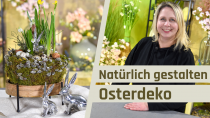 Kategorie Pflanzschale für den Frühling