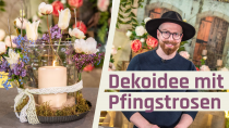 Pfingstrosen Dekoration