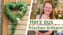 Herz aus Gras