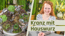 Kranz mit schönen Sukkulenten