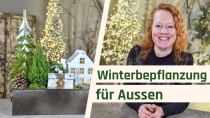 Winterbepflanzung für Aussen