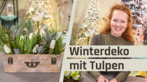 Winterdekoration mit Tulpen