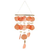 Kategorie Deko mit Muschel