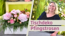 Dekoration mit Pfingstrosen schöner Tischschmuck