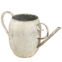 Kategorie Gießkanne