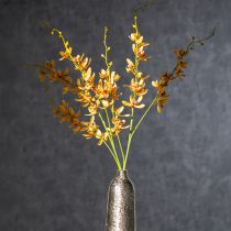 Artikel Künstliche Cymbidium Orchidee 95cm Gelb Grün Bordeaux 2 Stück