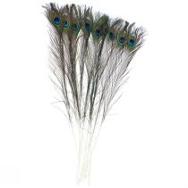Pfauenfeder Deko Federn zum Basteln Vogelfedern H78cm 10St
