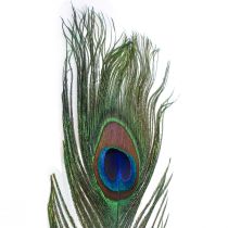 Pfauenfeder Deko Federn zum Basteln Vogelfedern H78cm 10St