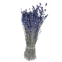 Getrockneter Lavendel Bund Trockenblume Blau 25cm 75g