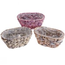Artikel Pflanzkorb Seegras Korb Wasserhyazinthe Übertopf oval 20,5cm 3 St