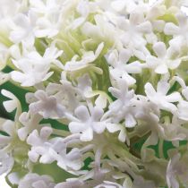 Artikel Kunstblume Schneeball Pflanze Virburnum Weiß Ø8cm 64cm