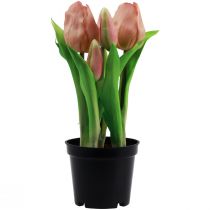 Artikel Künstliche Tulpen im Topf Tulpen Peach Kunstblumen 22cm