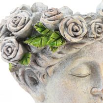 Artikel Blumentopf Gesicht Damenbüste Pflanzkopf Betonoptik H18cm