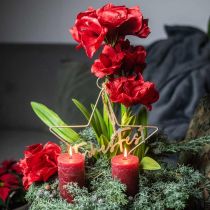 Künstliche Amaryllis Rot 3 Seidenblumen auf Moosballen H64cm