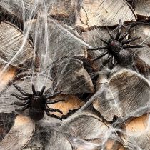 Artikel Kunststoff Dekofiguren Spinne und Fledermaus schwarz glitzernd 10cm 14cm 3-teiliges Set