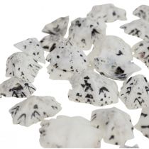 Muschel Deko Muscheln Weiß Schwarz Klein 1-2,5cm 250g