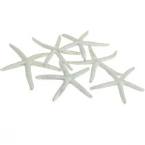 Seestern Silber Maritime Deko Seesterne Sommerdeko 7,5cm 10St