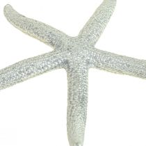 Seestern Silber Maritime Deko Seesterne Sommerdeko 7,5cm 10St