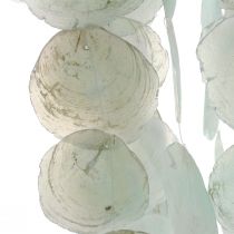 Capiz Windspiel Hängedeko Muscheldeko Grün Ø29cm 160cm
