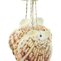 Maritime Hängedeko Muscheln Maritimes Windspiel 74cm