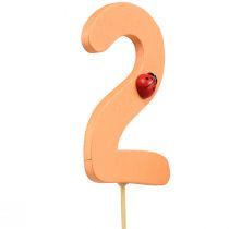 Artikel Zahlenstecker Geburtstag 2 Blumenstecker Holz 27,5cm 16 St