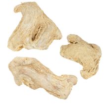 Artikel Getrockneter Ingwer geeignet als langlebige Naturdeko für Duft- und Festarrangements