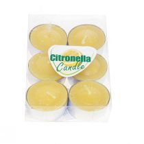 Duftkerze Citronella Kerze, Citronella Teelichter Ø3,5cm H1,5cm 6St