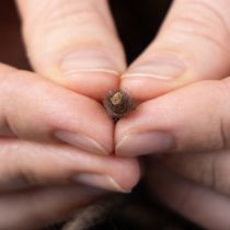 Artikel Wollkordel Braun 55m Dekoschnur für Floristik Basteln