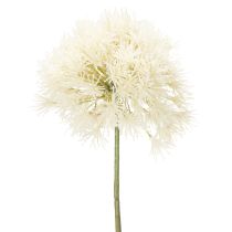 Artikel Allium Kunstblume aus Polyester und Kunststoff in Weiß 68cm