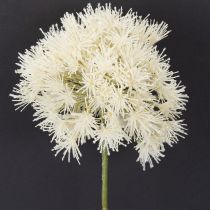Artikel Allium Kunstblume aus Polyester und Kunststoff in Weiß 68cm