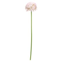 Artikel Allium mit rosa Blüte Zierlauch Künstlich Ø18cm L90cm