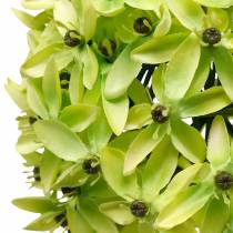 Artikel Künstlicher Zierlauch Allium Grün Ø20cm L72cm aus Seidenstoff