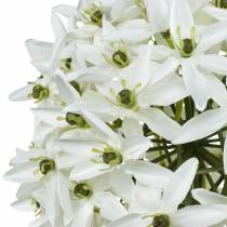 Artikel Dekoblume Allium, künstlicher Kugellauch, Weiß, Ø 20 cm, L 72 cm
