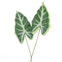 Artikel Alocasia Elefantenohr Pfeilblatt Kunstpflanzen Grün 55cm