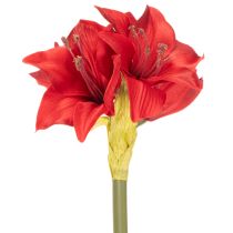 Artikel Künstliche Amaryllis in Rot mit Stiel 50cm für Weihnachtsdeko