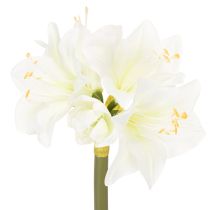 Artikel Künstliche Amaryllis Weiß mit Stiel 50cm für Advent und Weihnachten