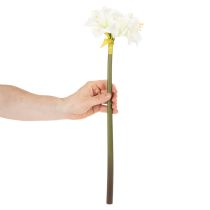 Artikel Künstliche Amaryllis Weiß mit Stiel 50cm für Advent und Weihnachten