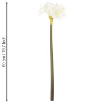 Artikel Künstliche Amaryllis Weiß mit Stiel 50cm für Advent und Weihnachten
