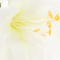 Artikel Künstliche Amaryllis Weiß mit Stiel 50cm für Advent und Weihnachten