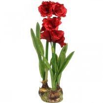 Künstliche Amaryllis Rot 3 Seidenblumen auf Moosballen H64cm