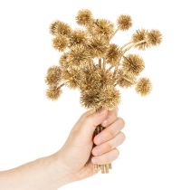 Artikel Künstlicher Amberfrucht Zweig Gold Kunststoff 26 cm 6er-Bund