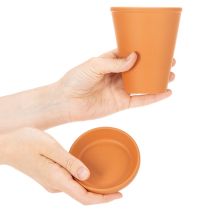 Artikel Aquasafe Wasserspeicher mit Insektentränke 12 cm 3er Set für Garten und Balkon