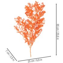Artikel Trockenblumen Asparagus-Zweig 65 cm gefärbt Orange