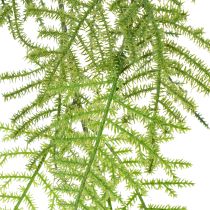 Artikel Künstlicher Asparagus Hängepflanze 75 cm Grün aus Kunststoff für Wohnraumdekoration