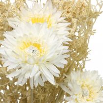 Artikel Künstlicher Blumenstrauß aus Astern und Schleierkraut, Beige und Weiß, 43 cm